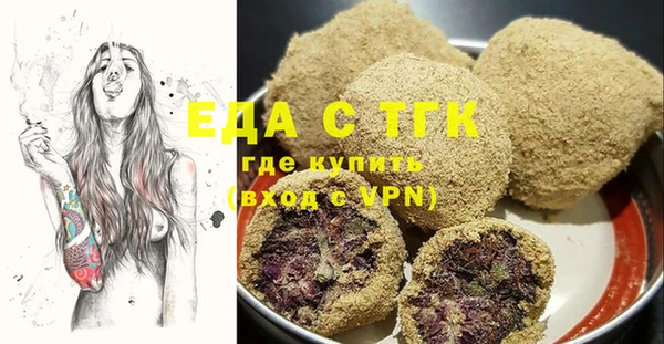 индика Ладушкин