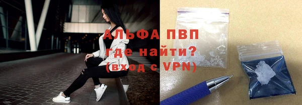 индика Ладушкин