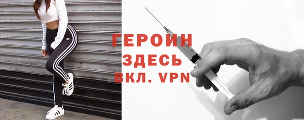 индика Ладушкин