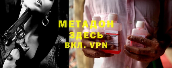 индика Ладушкин