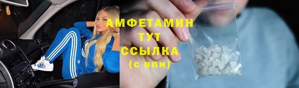 индика Ладушкин