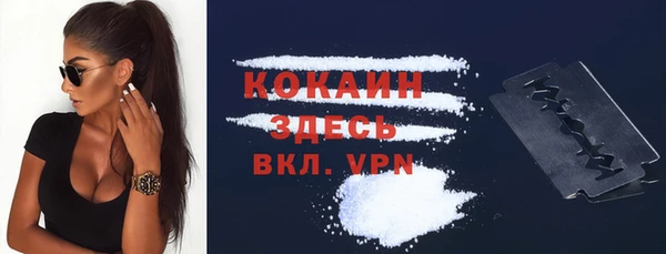 твердый Лабытнанги