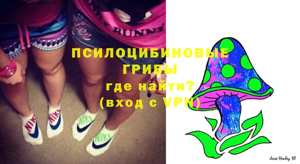 индика Ладушкин
