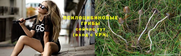 твердый Лабытнанги