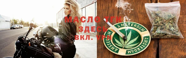 индика Ладушкин