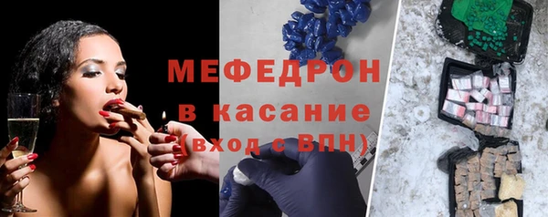 индика Ладушкин