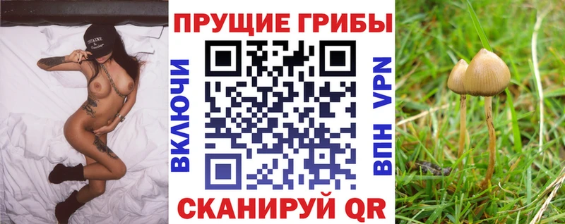 Галлюциногенные грибы ЛСД  даркнет сайт  Новое Девяткино 